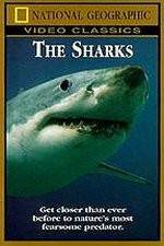 Watch National Geographic The Sharks Putlocker