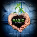 Watch The Magic Plant Putlocker