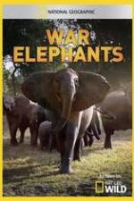 Watch War Elephants Putlocker