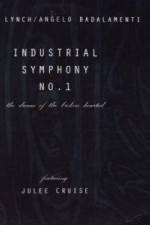 Watch Industrial Symphony No 1 The Dream of the Brokenhearted Putlocker