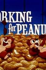 Watch Working For Peanuts Putlocker