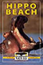 Watch PBS Nature - Hippo Beach Putlocker