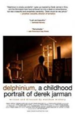 Watch Delphinium: A Childhood Portrait of Derek Jarman Putlocker