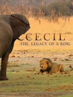 Watch Cecil: The Legacy of a King Putlocker