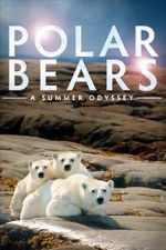 Watch Polar Bears: A Summer Odyssey Putlocker