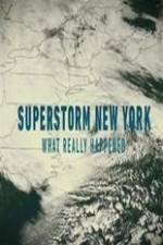 Watch Superstorm New York: What Really Happened Putlocker