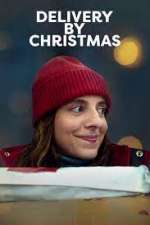 Watch Delivery by Christmas Putlocker