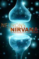 Watch Neurons to Nirvana Putlocker