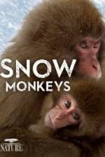 Watch Nature: Snow Monkeys Putlocker