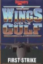 Watch Wings Over the Gulf Vol  1  First Strike Putlocker