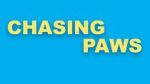 Watch Chasing Paws (Short 2020) Putlocker