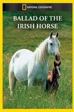 Watch Ballad of the Irish Horse Putlocker