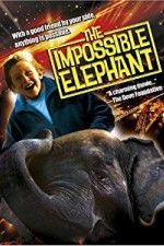 Watch The Incredible Elephant Putlocker