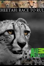 Watch Cheetah: Race to Rule Putlocker