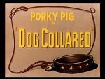 Watch Dog Collared (Short 1950) Putlocker