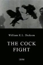 Watch The Cock Fight Putlocker