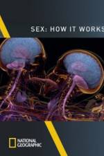 Watch Sex How It Works Putlocker