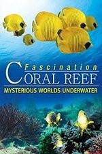 Watch Fascination Coral Reef: Mysterious Worlds Underwater Putlocker