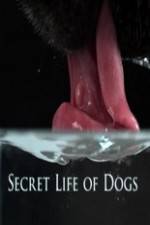 Watch Secret Life of Dog Putlocker