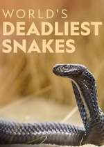 Watch World's Deadliest Snakes Putlocker