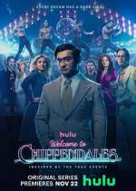 welcome to chippendales tv poster