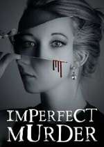 imperfect murder tv poster