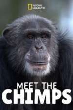 Watch Meet the Chimps Putlocker