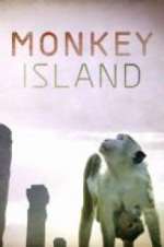 Watch Monkey Island Putlocker