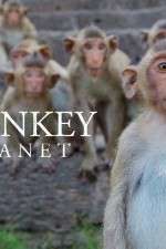 Watch Monkey Planet Putlocker