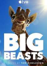 Watch Big Beasts Putlocker