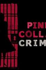 Watch Pink Collar Crimes Putlocker