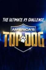 Watch America\'s Top Dog Putlocker
