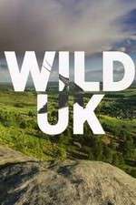 Watch Wild UK Putlocker