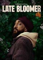 late bloomer tv poster