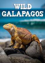 Watch Wild Galapagos Putlocker