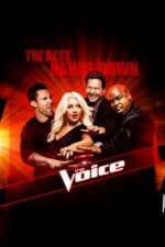 the voice tv poster