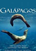 Watch Galapagos Putlocker