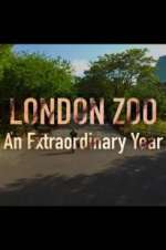 Watch London Zoo: An Extraordinary Year Putlocker