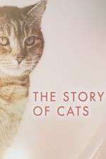 Watch The Story of Cats Putlocker