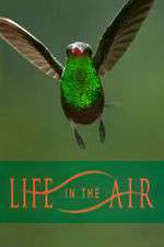 Watch Life in the Air Putlocker