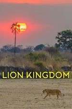 Watch Lion Kingdom Putlocker