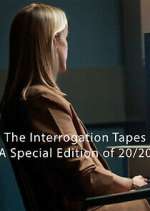 the interrogation tapes tv poster