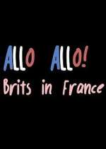 Watch Allo Allo! Brits in France Putlocker