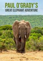 Watch Putlocker Paul O'Grady's Great Elephant Adventure Online