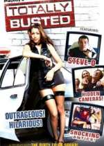 totally busted tv poster