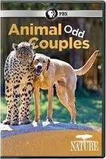 Watch Animal Odd Couples Putlocker