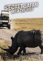 Watch Secret Safari: Into the Wild Putlocker