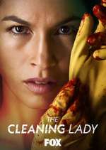 the cleaning lady tv poster