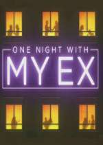 one night with my ex tv poster