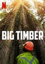 Watch Big Timber Putlocker